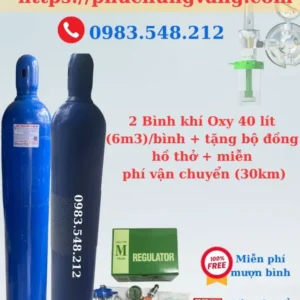 2 Bình Oxy Y tế